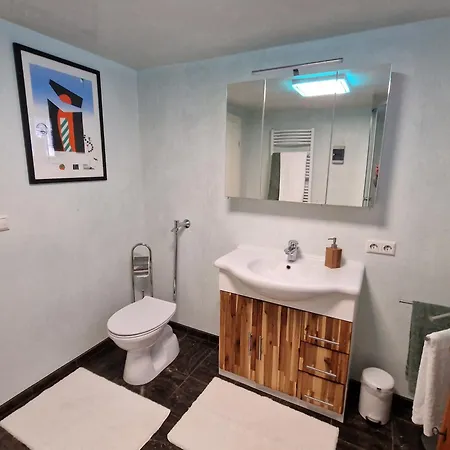 Holiday home Anna Mit Kamin, Terrasse, Hof & Garage Hassloch (Rhineland-Palatinate)