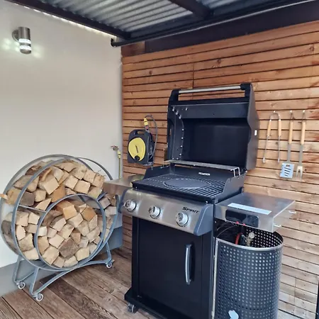 Holiday home Anna Mit Kamin, Terrasse, Hof & Garage Hassloch (Rhineland-Palatinate)